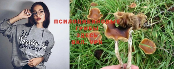 молекула духа Красноперекопск