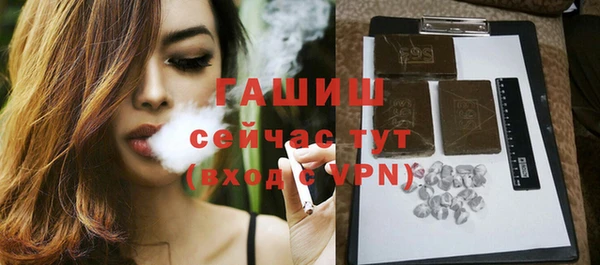 дмт Краснослободск