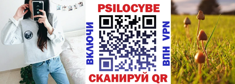 Галлюциногенные грибы Psilocybine cubensis  Купить закладки  Самара 